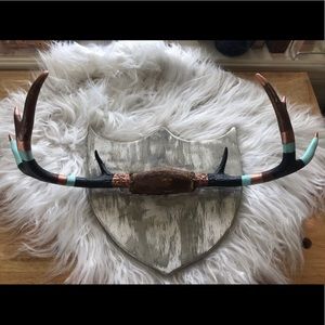 Upcycled Maine vintage whitetail antler wall art